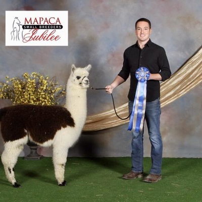 Brandon Sigler profile picture