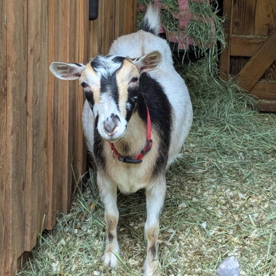 Blessed Are You (Bessa) profile picture