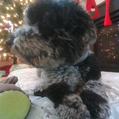 Carl Dean Inofuentes profile picture