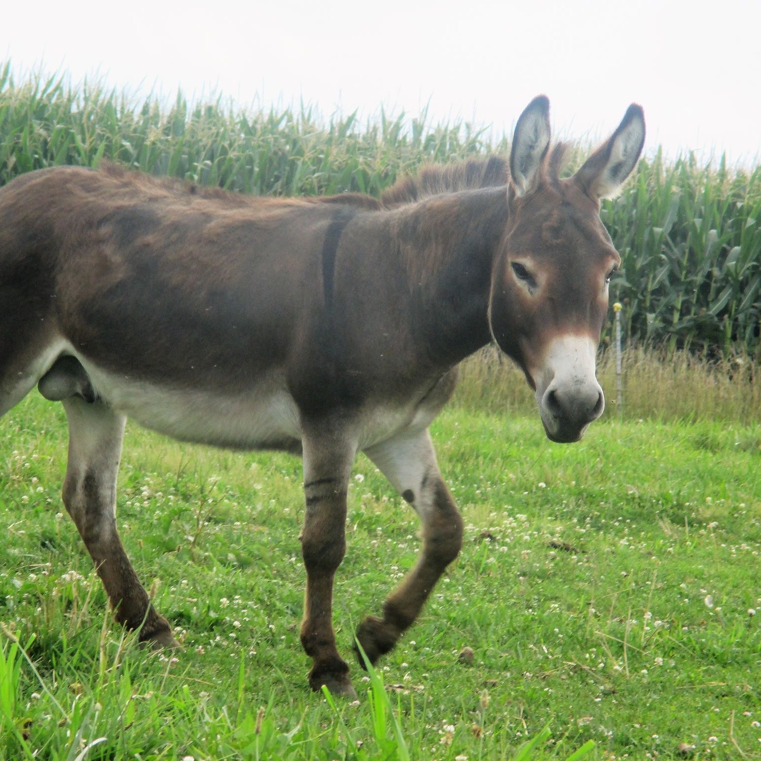 Toby profile picture