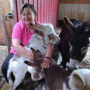 Lori Wargo profile picture