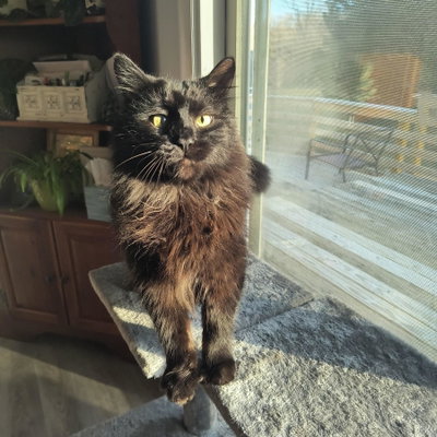 Kobe profile picture