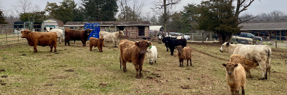 Hoffner Hill Farm LLC profile cover image
