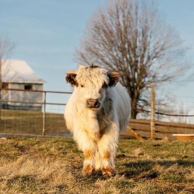 BPF Theodore Ramsey “Theo” profile picture