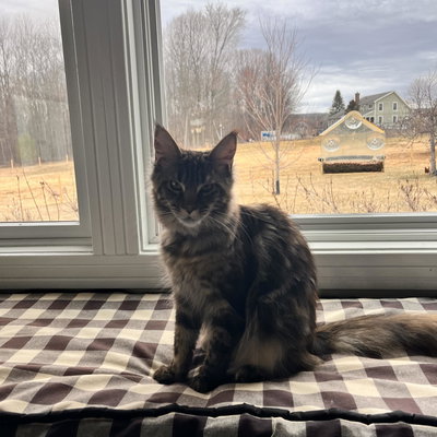 Mary profile picture