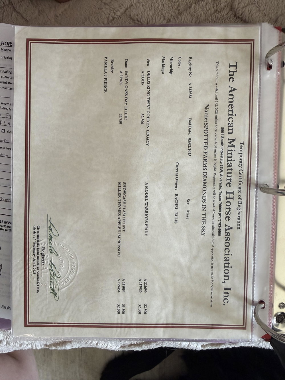 Tinkerbell, photo 3
