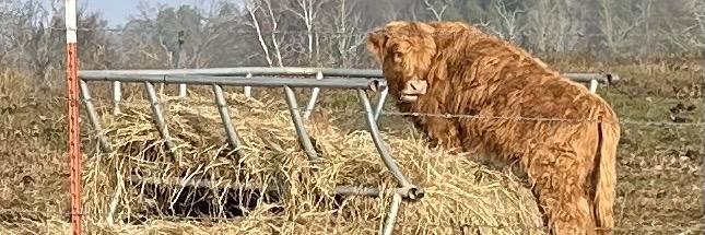 Sherman Potter profile cover image