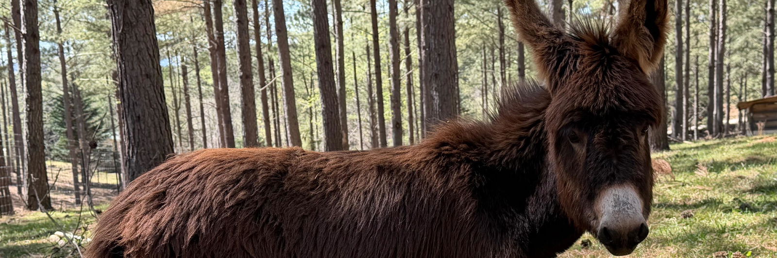 Jack profile cover image