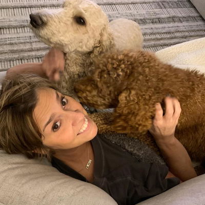 Higher Standard Poodles profile picture