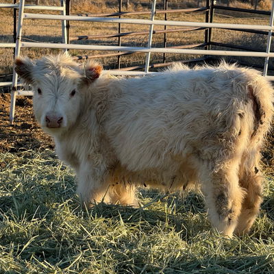 3Point ranch and transport LLC profile picture