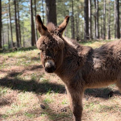 Bray profile picture