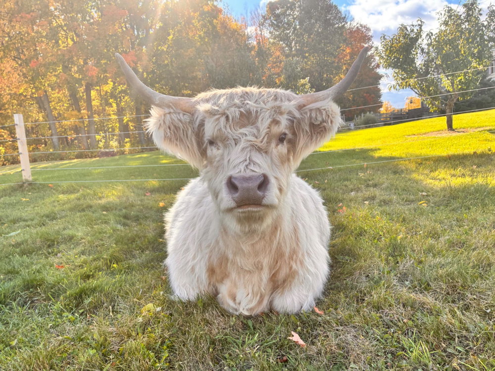 Private Farm Tour, photo 1