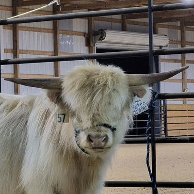 CRCC Retro profile picture