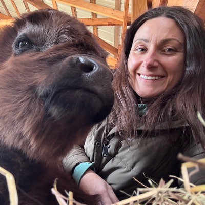 Jodi Barton profile picture