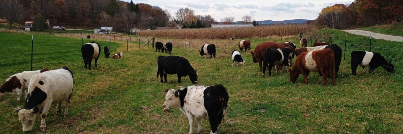 Borreson Heights Farm profile cover image