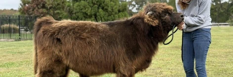 Rohloff Ranch Theo profile cover image