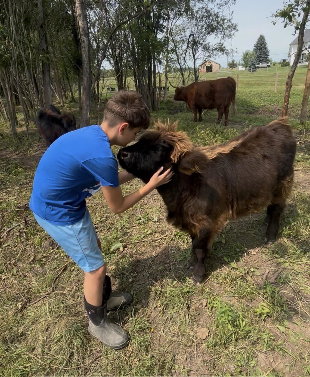 Private cow cuddles, photo 2