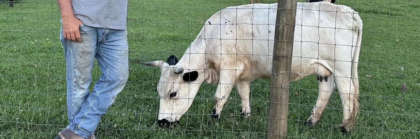 RBR Mini Pearl profile cover image