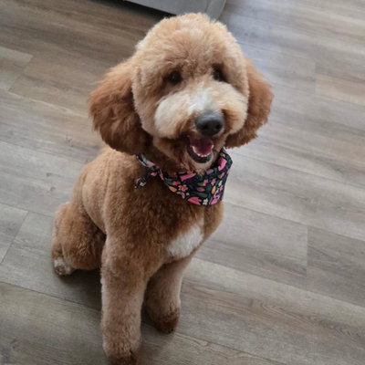 Ruby profile picture