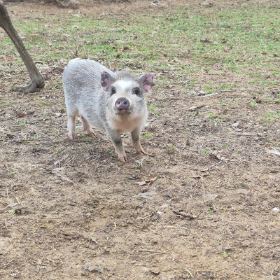 Gigi profile picture