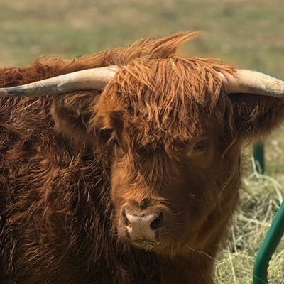 Fancy profile picture
