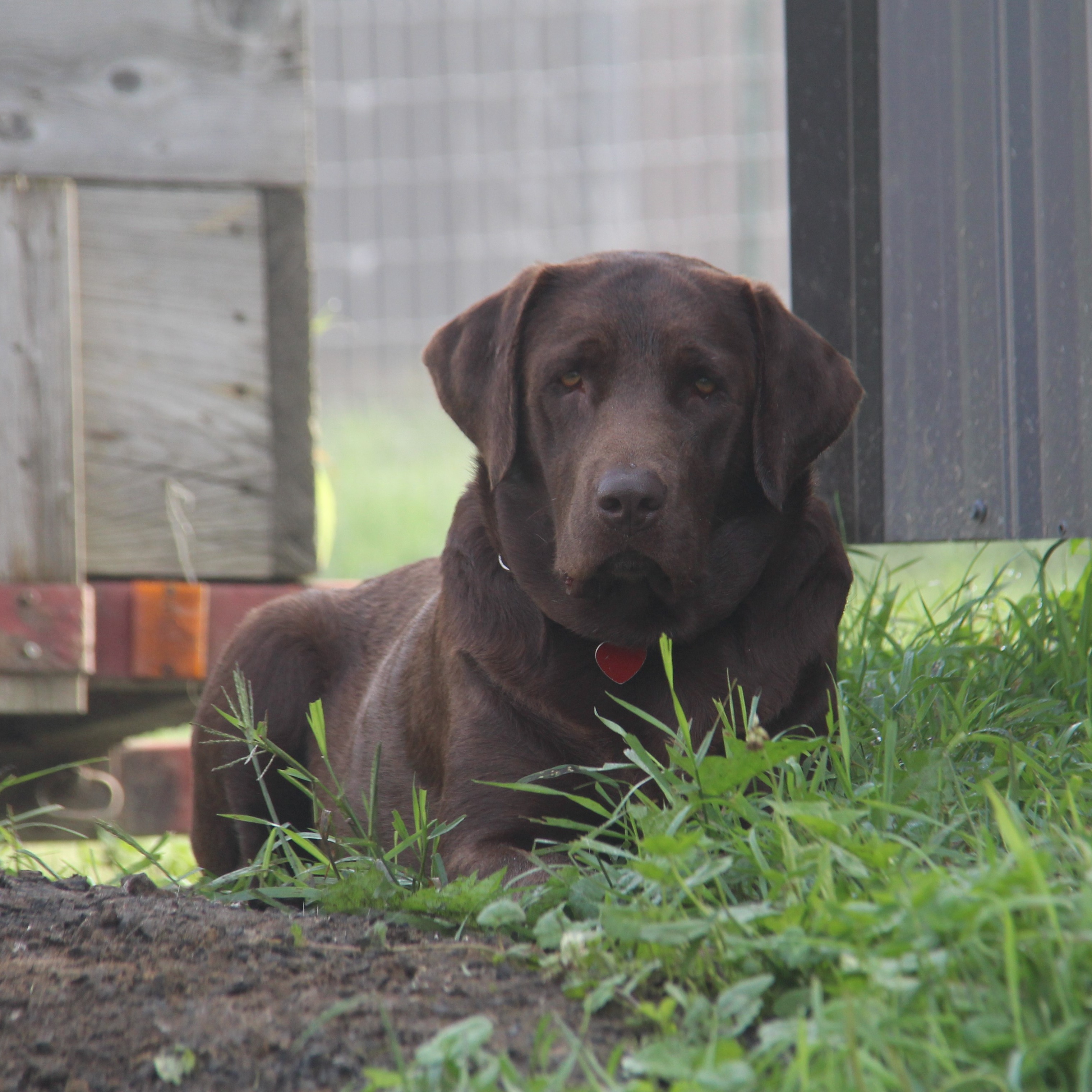 Jetta profile picture