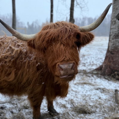 Sage profile picture