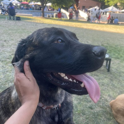 BIG EM . profile picture
