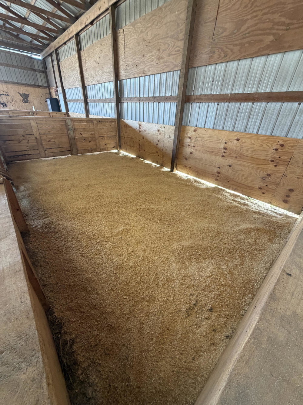 Premium Cattle/Calf Boarding, photo 6