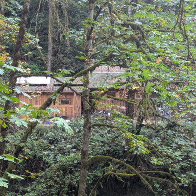 Shady Creek Homestead profile picture