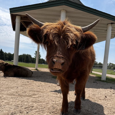 Beatrice profile picture