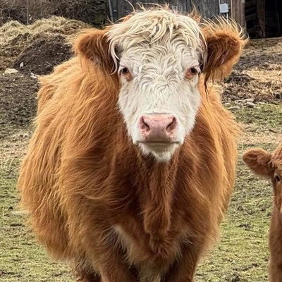 Wilma profile picture