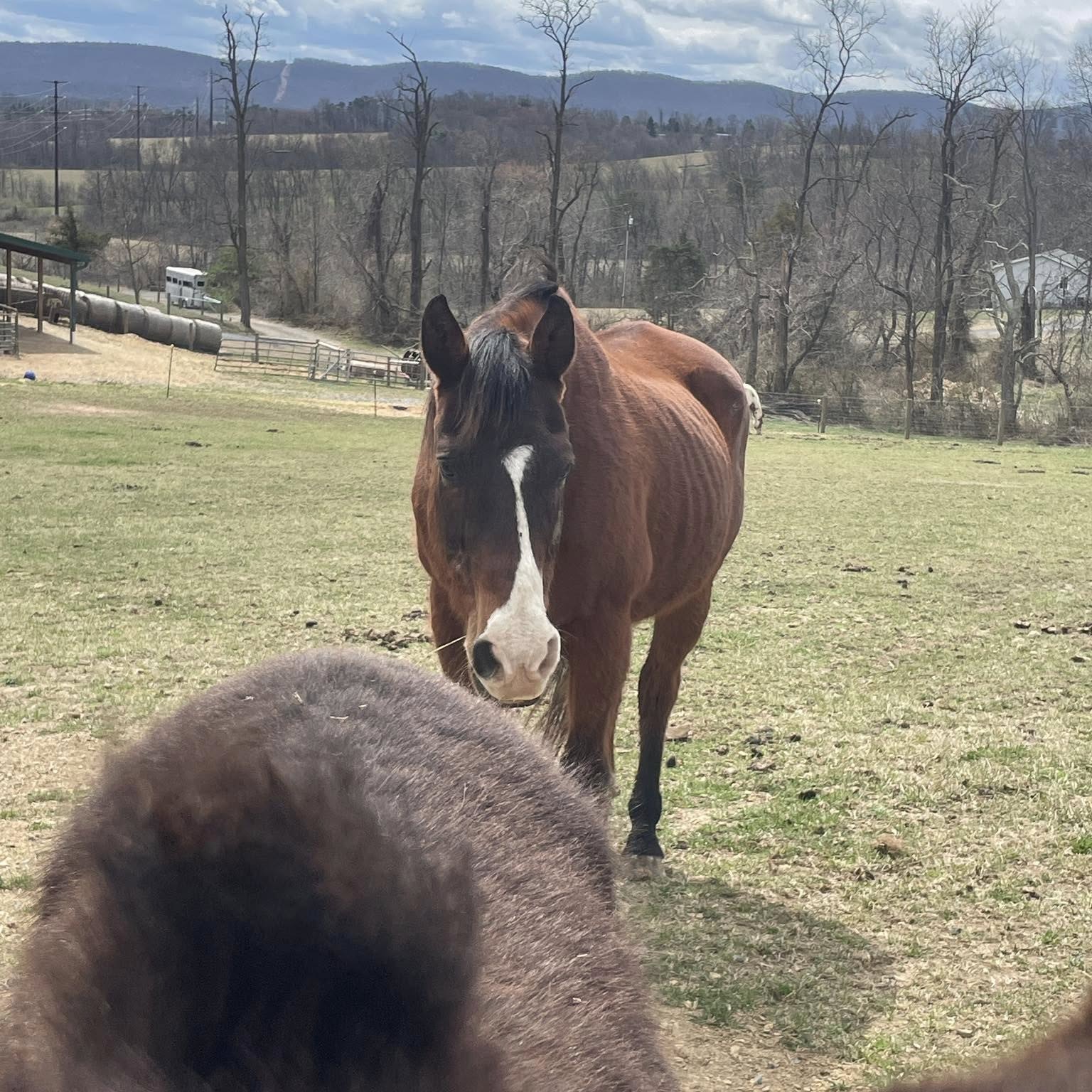 Caesar profile picture