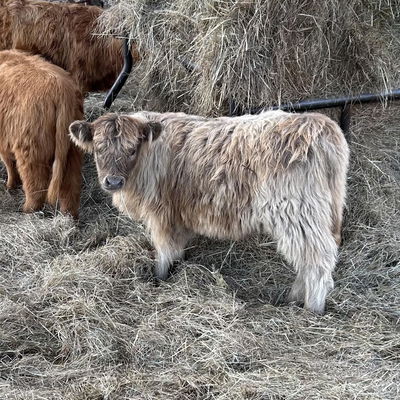 Judy’s Autumn profile picture