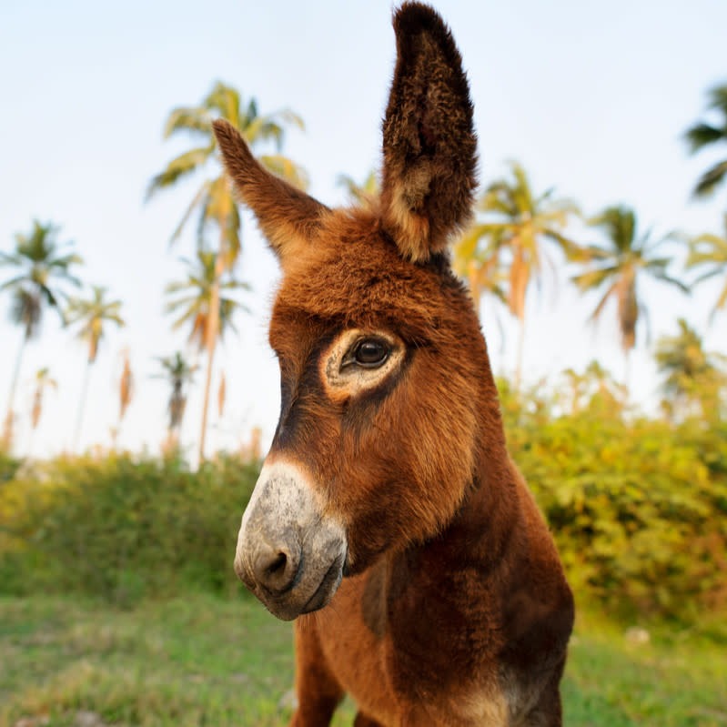 Sergio profile picture