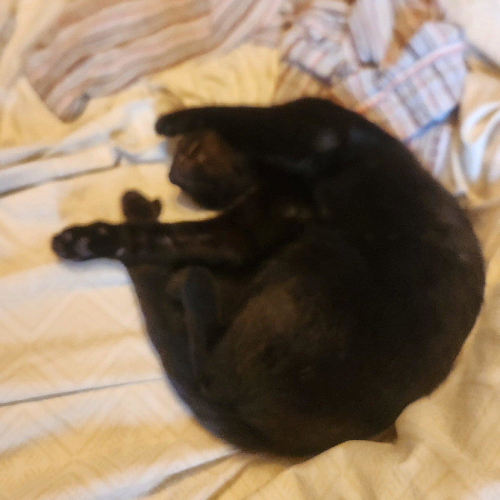 Binx