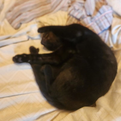 Binx profile picture