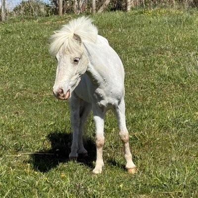 Tinkerbell profile picture