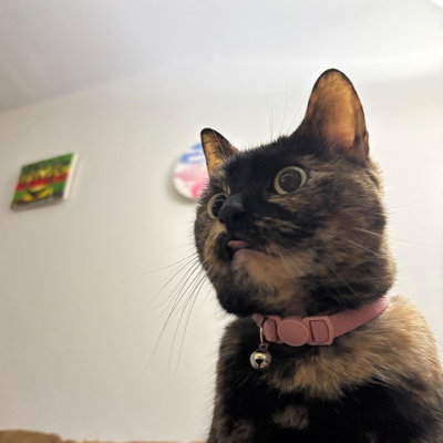 Munchies profile picture