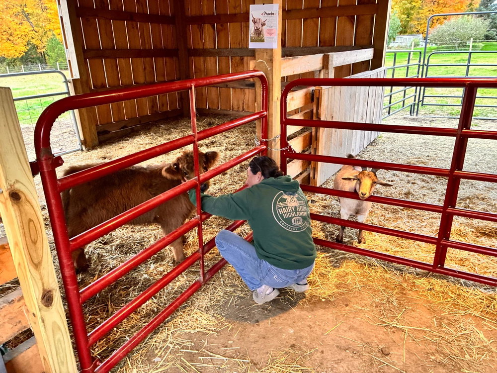 Highland Farm Tour, photo 9