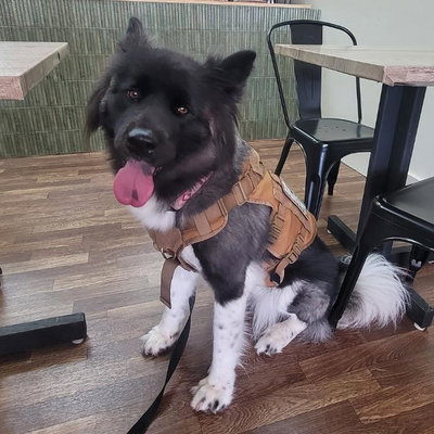 Kiki profile picture