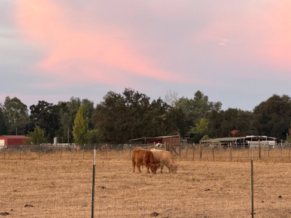 Farm Tour, photo 1