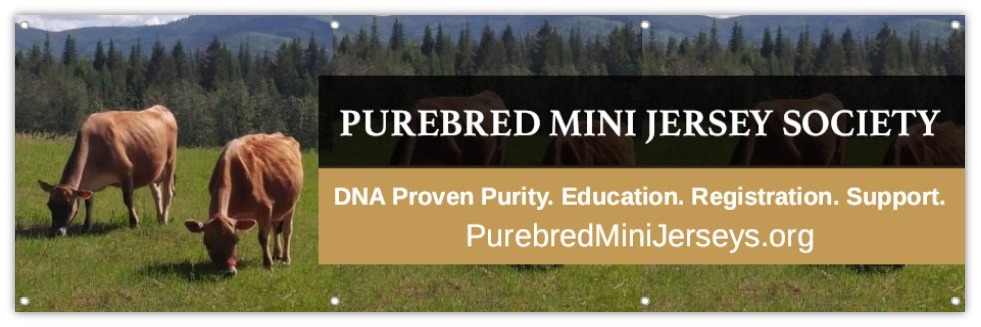 Purebred Mini Jersey Society & Registry profile cover image