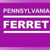 Pennsylvania Ferret Rescue Assn profile picture