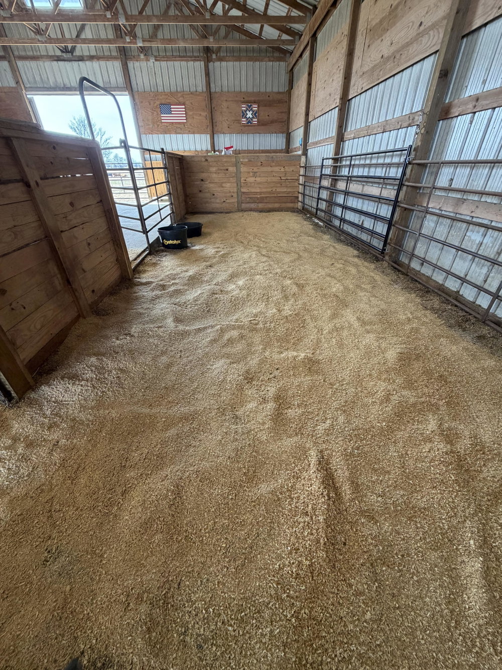 Premium Cattle/Calf Boarding, photo 9