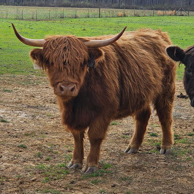 Aspen profile picture