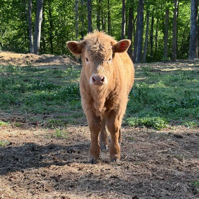 April profile picture