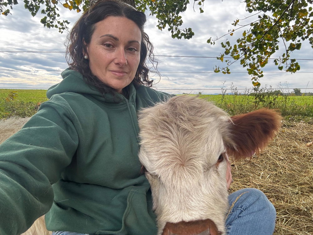 Private cow cuddles, photo 3