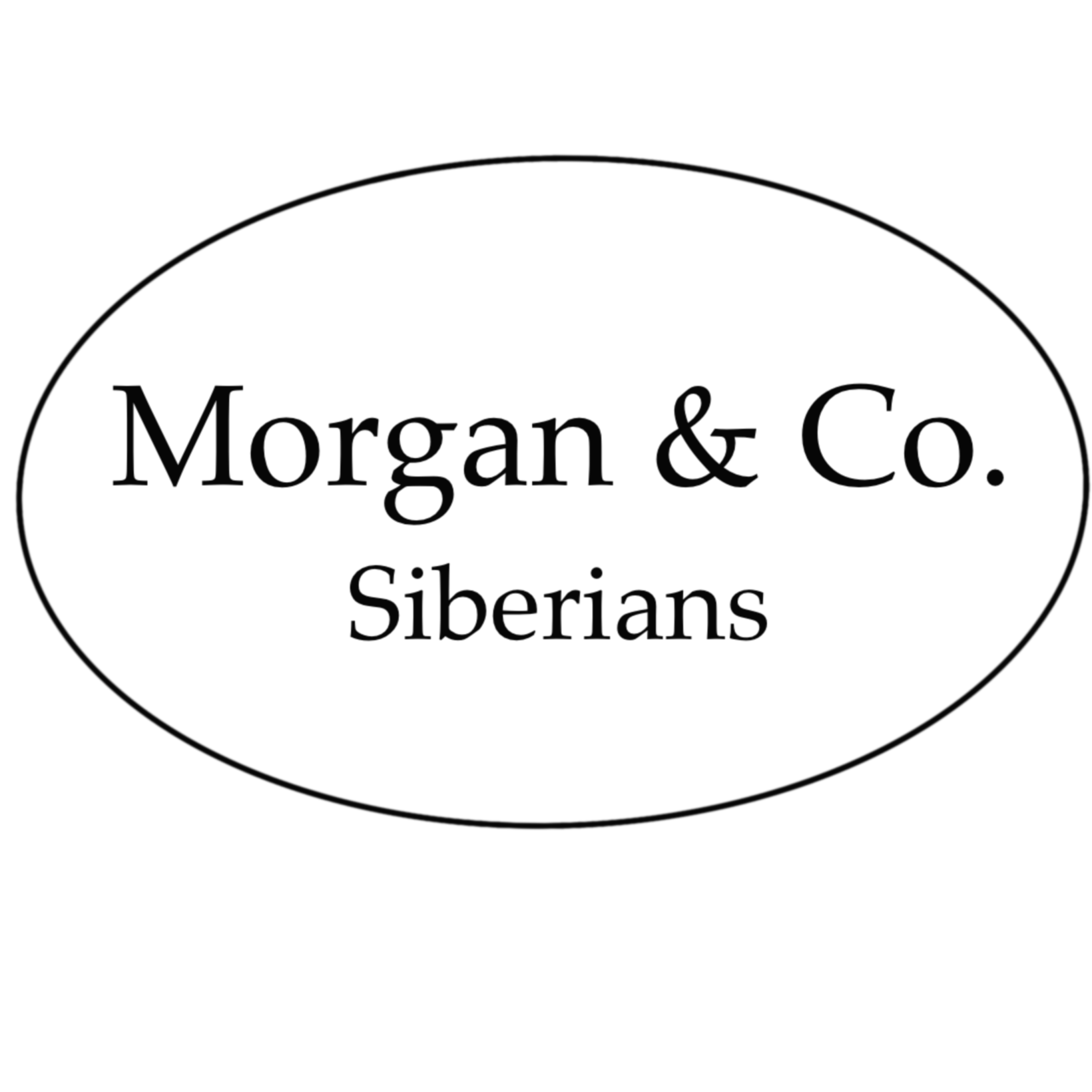 Morgan & Co. Siberians profile picture