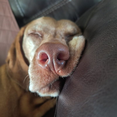 Chloe profile picture